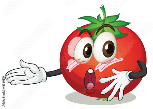 Vector: a tomato a tomato