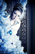Foto: christmas ball christmas ball