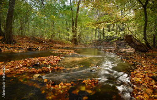 Photo: Autumn by the river Autumn by the river