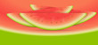 Watermelon Slices Vector