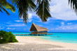 Diving club on a tropical island