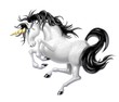 unicorno