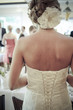 Braut