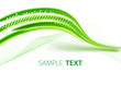 Sharp green wave