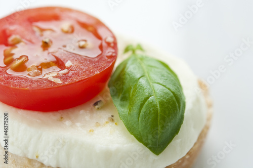 Photo: Mozarella Appetizer Mozarella Appetizer
