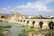 Mezquita Cathedral and Roman Bridge - Cordoba - Spain 