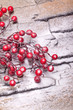 rote Beeren im Winter