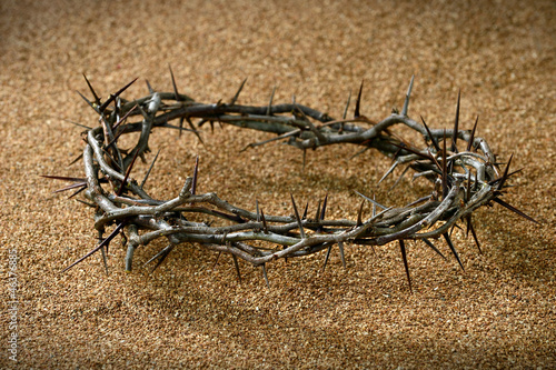 Photo: Crown of Thorns on Sand Crown of Thorns on Sand