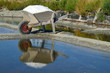 Foto: Saliculture - Brouette remplie de sel Saliculture - Brouette remplie de sel