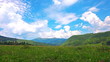 summer landscape. timelapse