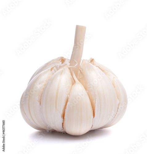 Photo: garlic bulb garlic bulb