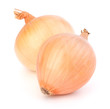 Onion