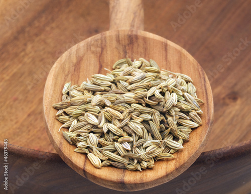 Photo: Fennel Seeds Fennel Seeds