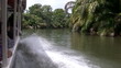 Video: River Amazon River Amazon