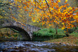Herbst an der Römerbrücke