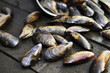 Miesmuscheln