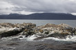 Photo: Sea lions & Cormorants, Tierra Del Fuego, Ushuaia, Argentina Sea lions & Cormorants, Tierra Del Fuego, Ushuaia, Argentina