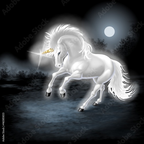 Illustration: unicorno unicorno
