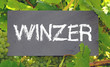 Winzer