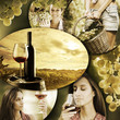 Wine and vineyard