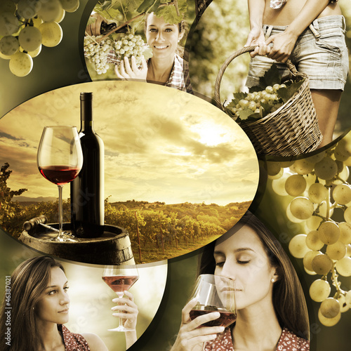 Photo: Wine and vineyard Wine and vineyard