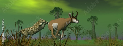 Illustration: Hunting scene in the nature Hunting scene in the nature