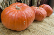 Photo : Giant Pumpkins at Harvest Time Giant Pumpkins at Harvest Time