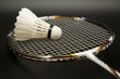 Badminton racket and shuttlecock