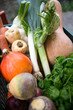 legumes d hiver