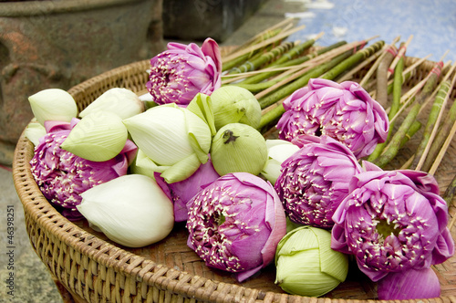 Photo: lotus flower in a basket lotus flower in a basket