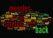 Exercise-Back-Pain-Away