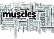 Bones and Back Pain