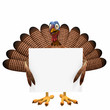 Illustration: Toon Turkey Sign Toon Turkey Sign