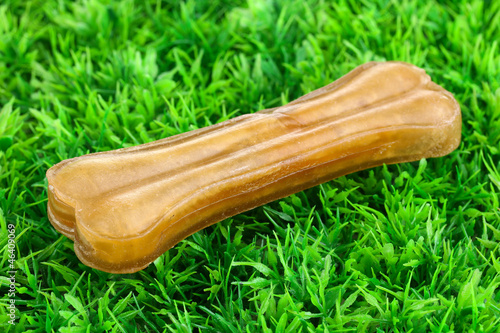 Photo: Dog bone on green grass Dog bone on green grass