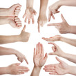Female hands