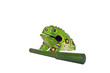 Photo: The green artificial Toad Chinese Feng Shui lucky money frog The green artificial Toad Chinese Feng Shui lucky money frog