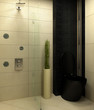bathroom wc black design