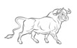 Strong bull