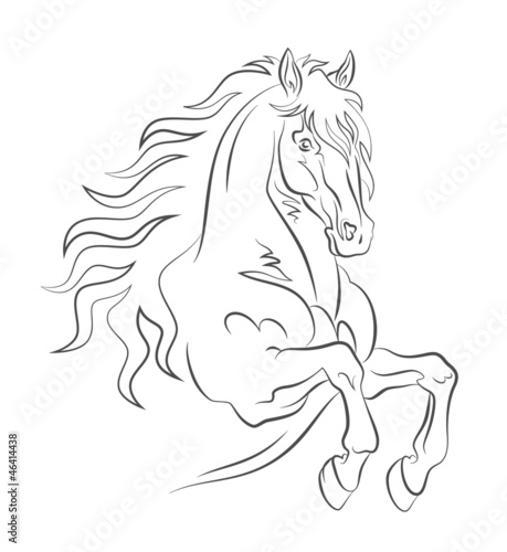 Vector: Graceful horse Graceful horse