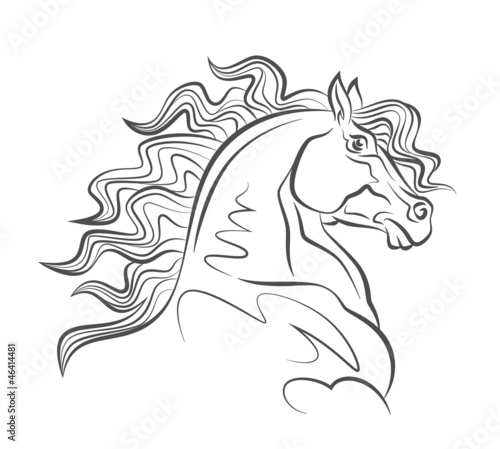 Vector: Horse head Horse head