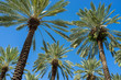 Photo: Miami Beach Miami Beach