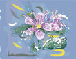 Pink Jasmin flower in watercolor over a blue background