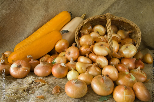 Photo: onion and vegetable marrow onion and vegetable marrow