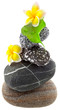 fleurs de frangipanier et galets zen