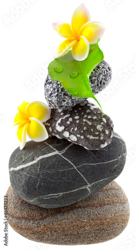Photo: fleurs de frangipanier et galets zen fleurs de frangipanier et galets zen