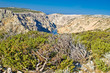 Wild scenery of Zrmanja grand canyon