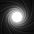 Gun Barrel from Inside