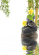 composition bambou asiatique zen