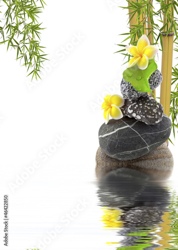 Photo: composition bambou asiatique zen composition bambou asiatique zen
