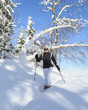 Wanderung in winterliche Landschaft